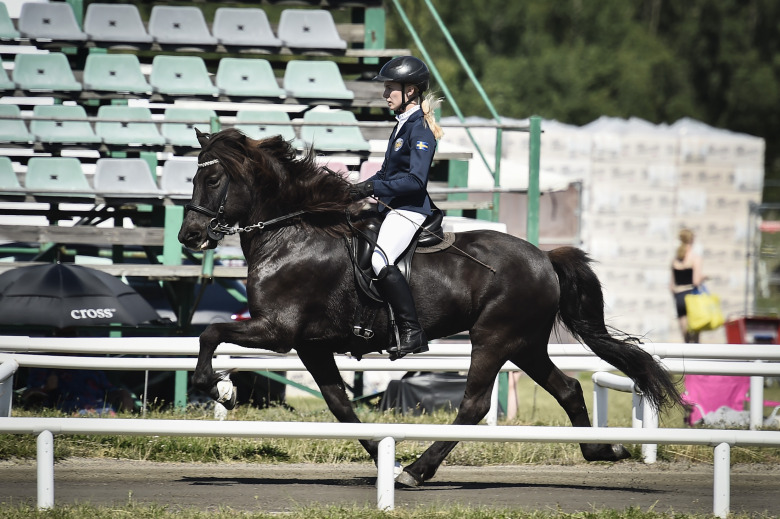 Klara Solberg: ”Lite press eftersom det är sista young rider-året”