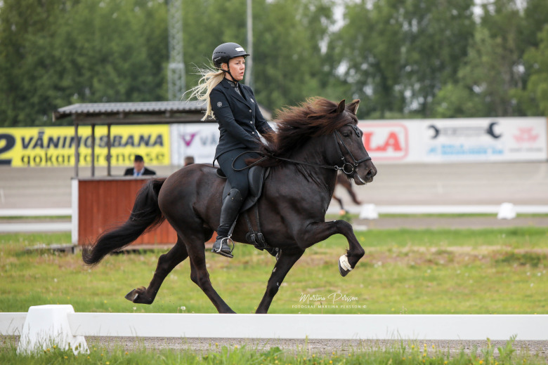 ”Tävlingarna vi gör nu går direkt till erfarenhetsbanken”