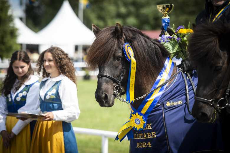 Domaruppställningen för Sport-SM 2025 färdig