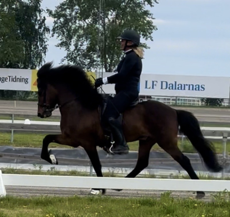 Fritidsmästerskapen: Caroline Agerhill ägde GDA