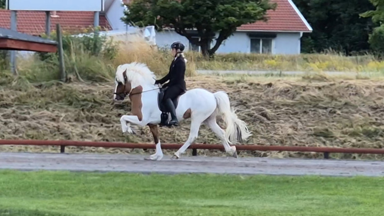 Så gick finalerna på Strokkur sommarmeeting