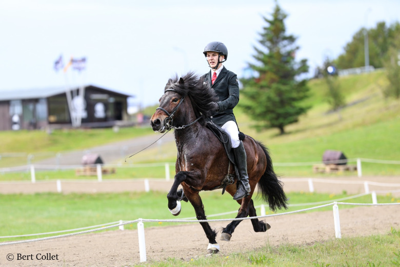 Landsmót: Sport och heta hingstar