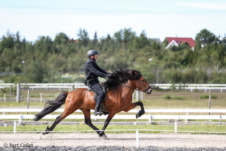 Landsmót: De blev högst bedömda