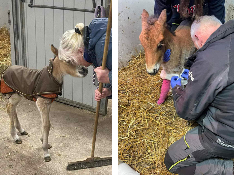 Vägde 19 kilo – överlevde mot alla odds