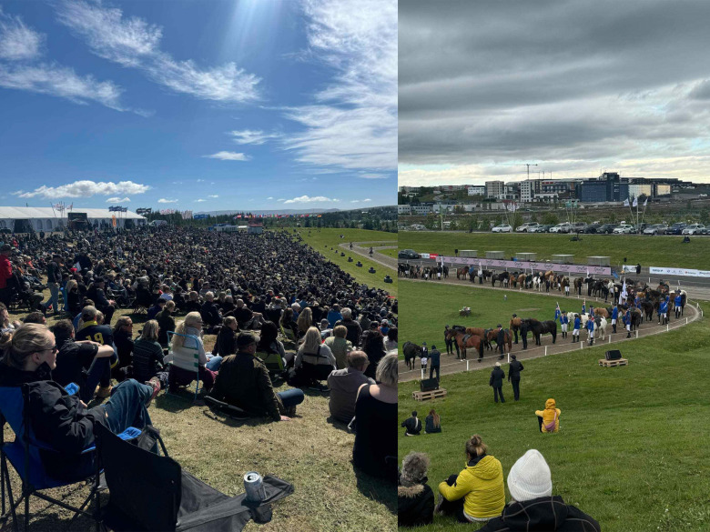 Anna Funni sammanfattar Landsmót: ”Något för alla”