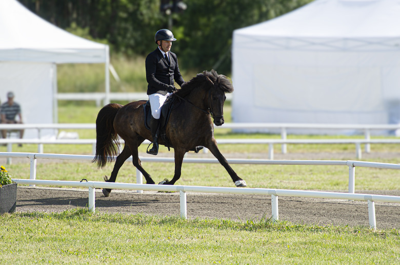 Trav-snackisen på SM: ”Det har lossnat mer och mer”