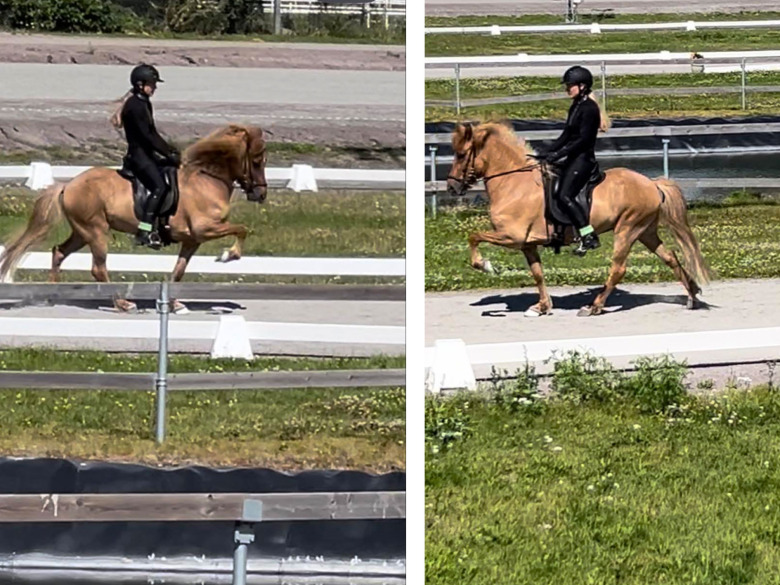 Linnea och framtidslöftet Espólin presterade: ”Spännande framtid”