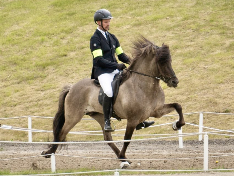 Landsmót: Svenskägd häst till b-final