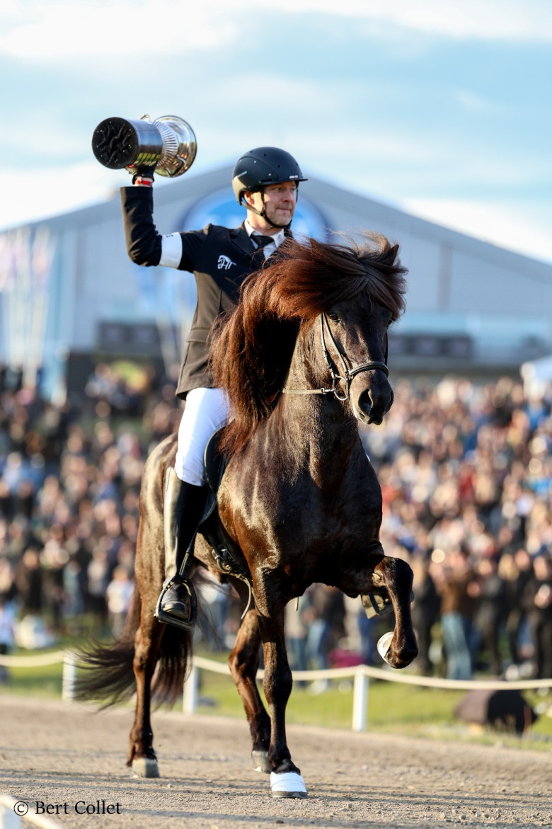 Storslagen vinnare av tölten på Landsmót