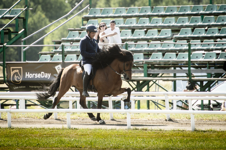 Sålt arvtagaren: ”Inget lätt beslut”