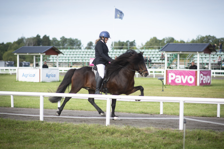 Camilla Rolfsdotter: ”I chock”