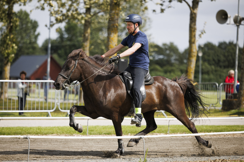 ”Han är allt man vill ha i en passhäst”