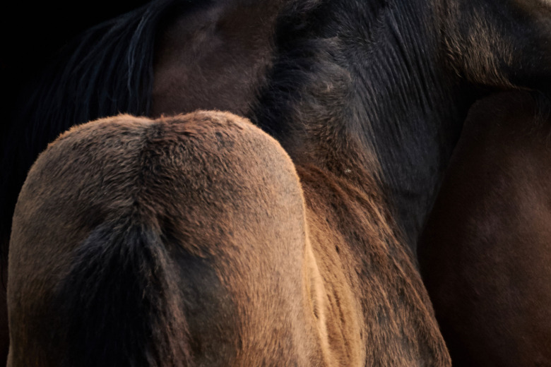 Sjukhus skärper rutiner efter smitta