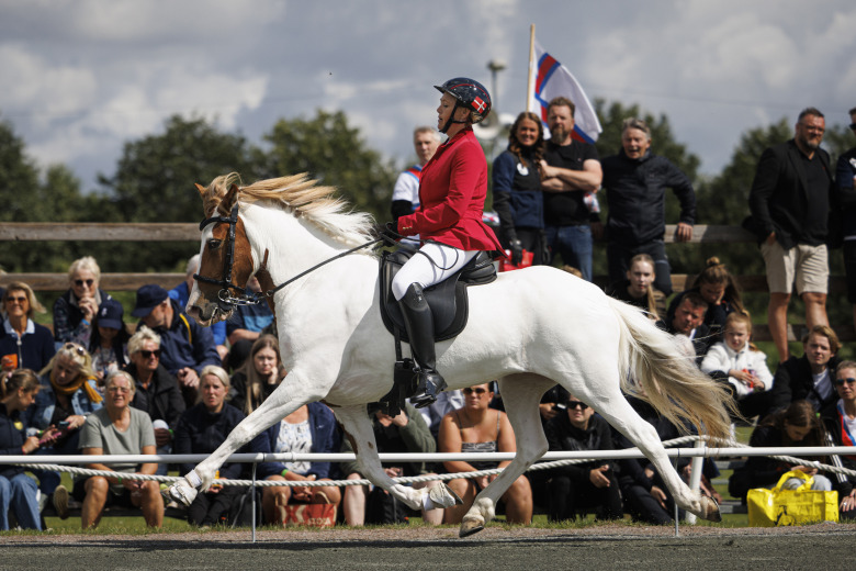 Bildextra: Uttagningen i B-flokk