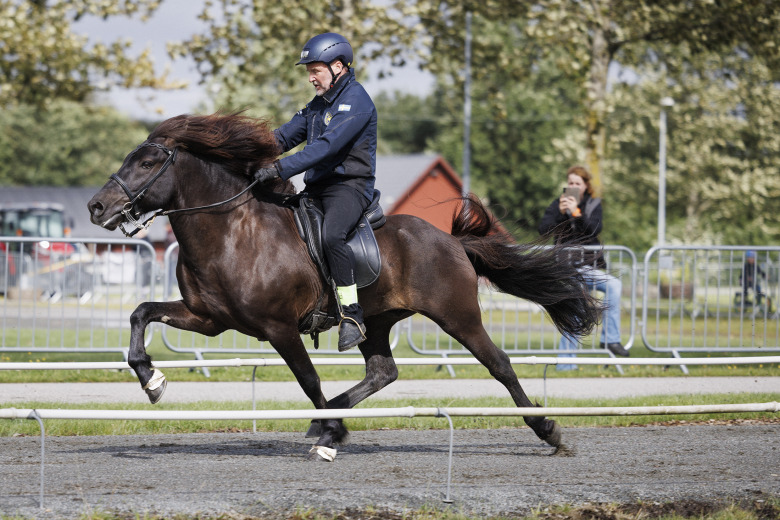 Wången Open: 8,46 i stilpass