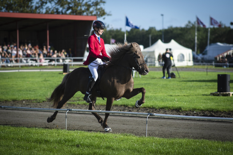 Nordiska mästaren i fyrgång är såld