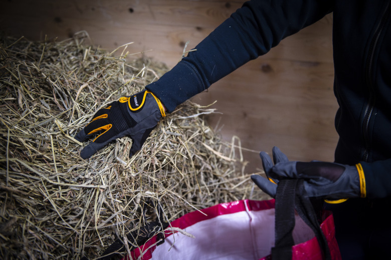 Ridsport testar: Spara händerna med rätt handske