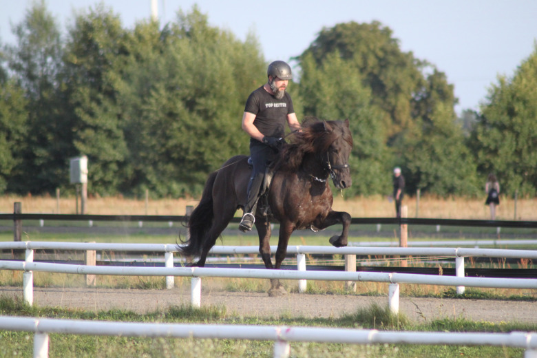 Margaretehof: Svenskfödd häst i toppen