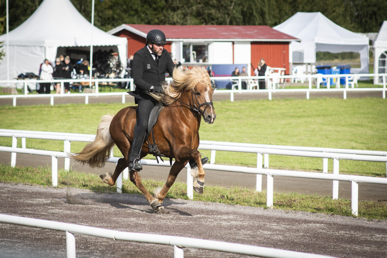James Faulkner toppade A-flokk-uttagningen på GK-SM