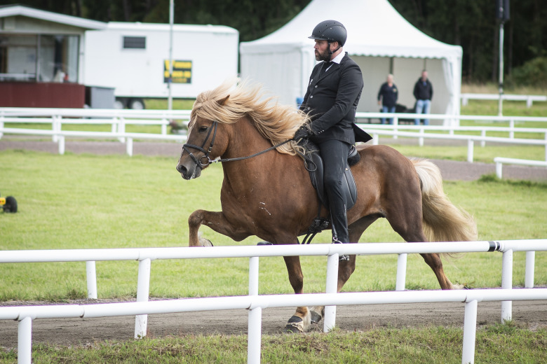 James Faulkner: ”Han bjuder på allt”