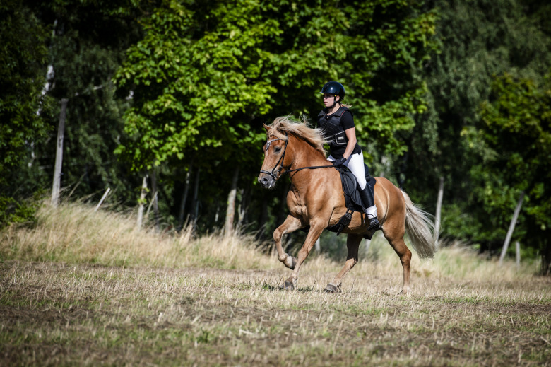 Falki Skistars tog hem Lag-SM