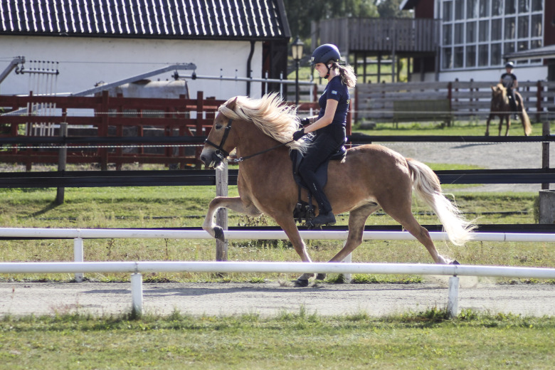 Efter premiärvisningen: ”Bra känsla”