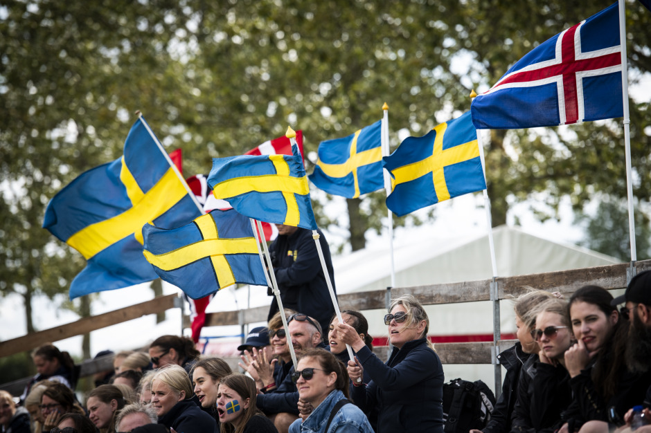 Svenska landslagshästar isolerades efter feber – Leistur drabbad av transportsjuka