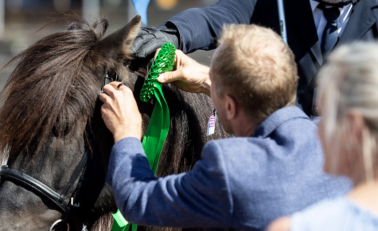 Ny brandvägg ska öka hästvälfärden under tävling