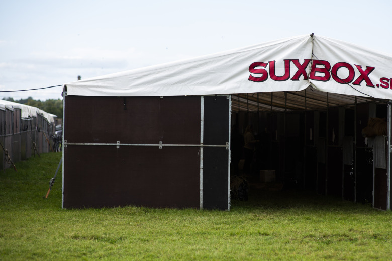 Feberhäst på SM smittad av fästingsjukdom