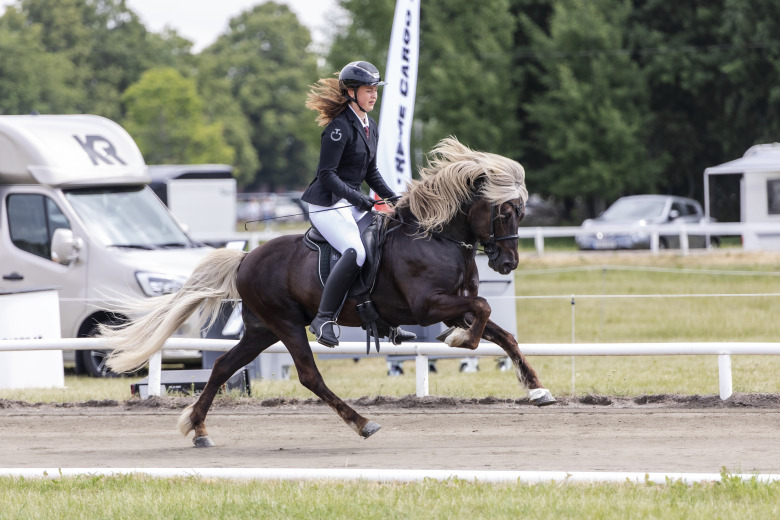 Nordiska mästaren i GDYB såld