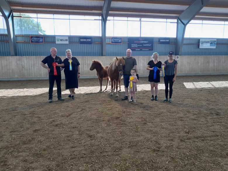 Sólon-son högst bedömd på årets första fölbedömning