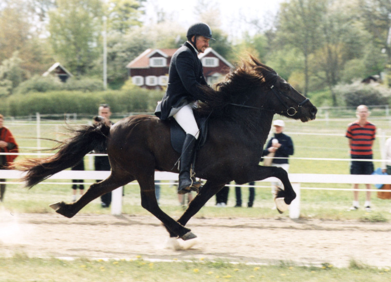 Johan Häggberg: ”Teknik går före känsla”