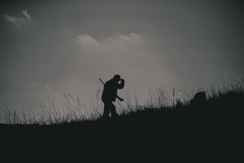 Jakthund måste vara kopplad efter att ha bitit häst