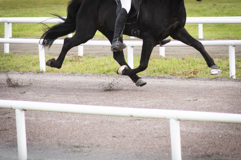 Pågående studie kan påverka framtida passlöp