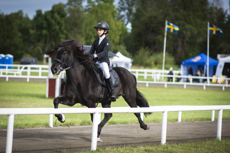 Bildextra: Finaldagen på Himmelstalund
