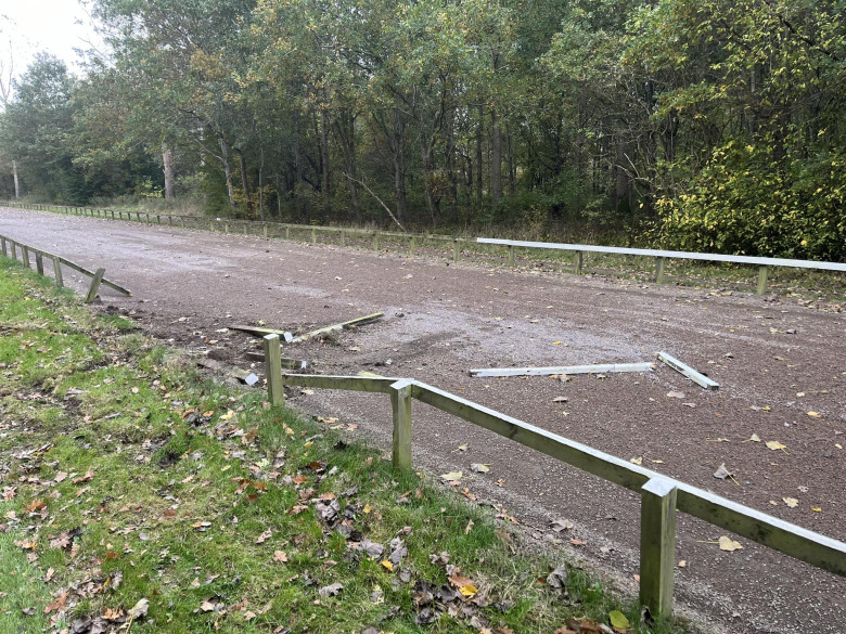 Skadegörelse och inbrott hos Skåneförening