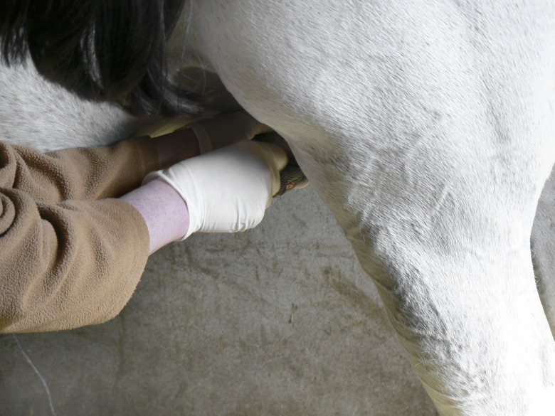 Okänd källa bakom smittan i Skåne