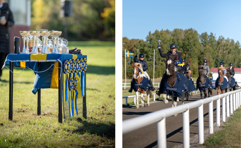 Stor bredd på Dyggurs KM
