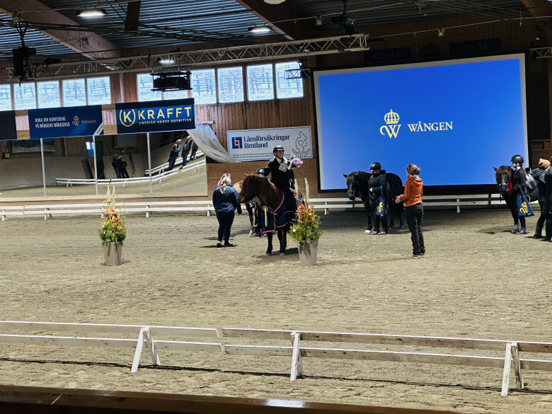 Samspel i fokus med alternativa mästerskapen