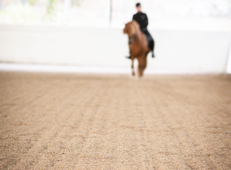 Guide: Så går bedömningen av gæðingalist till