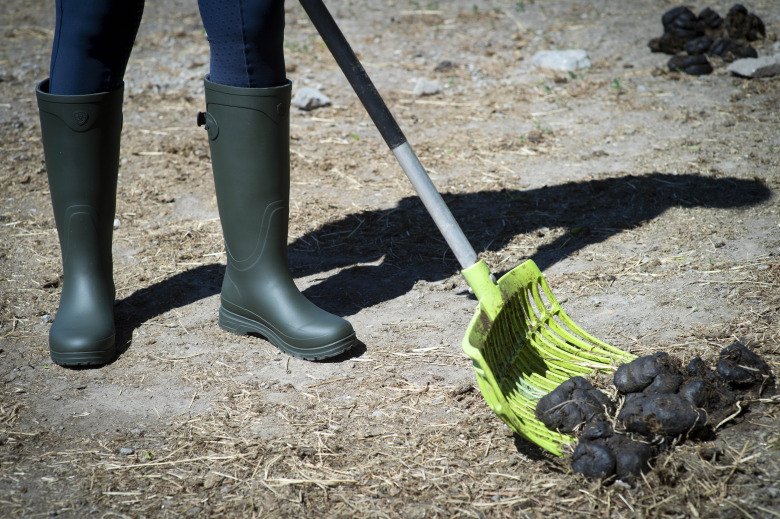 Ridsport testar: Stövlar som klarar både stall och skur