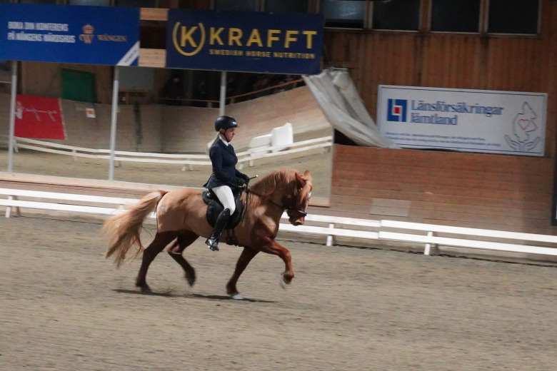 Johanna Asplund efter gæðingalistdebuten: ”En del av den vardagliga träningen”