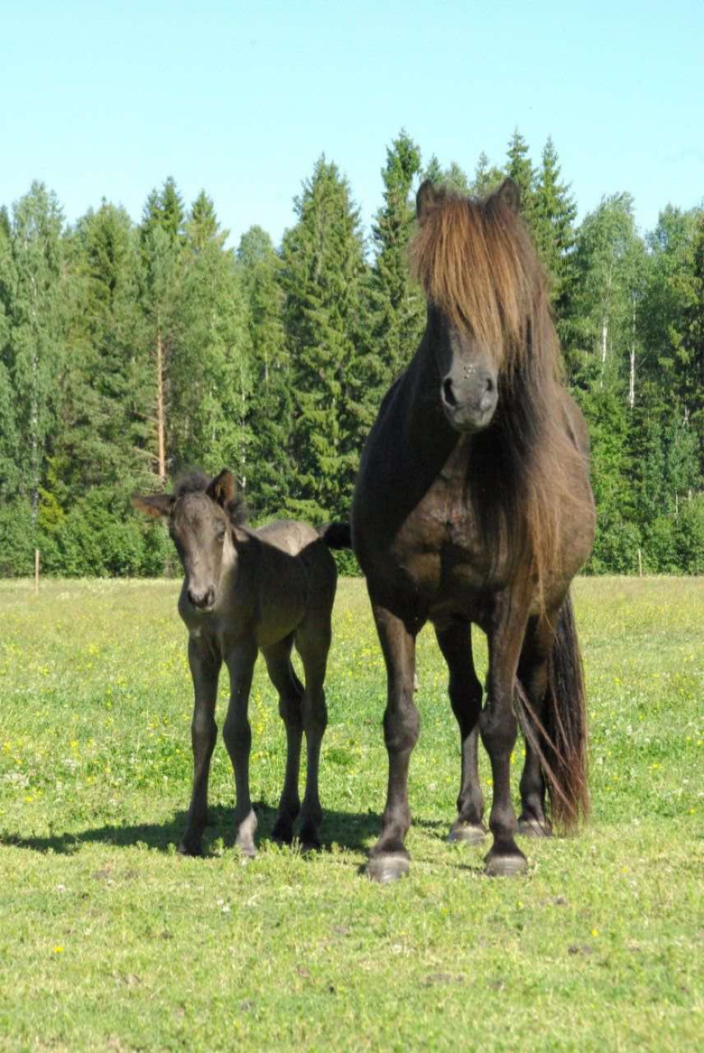 Hederspremierat sto har gått ur tiden