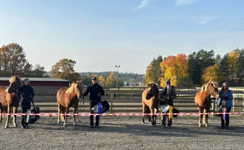 Bildextra: Sto från Engården högst bedömd