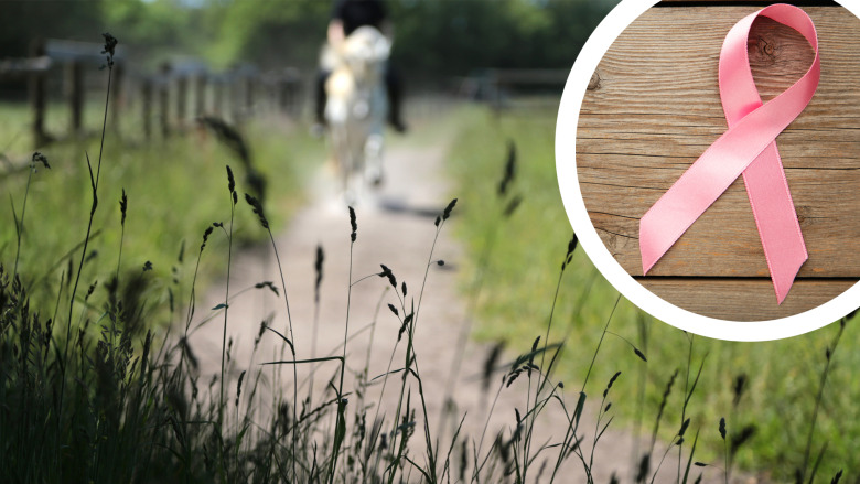 Islandshästföreningar rider för Rosa Bandet: Evenemang och tävlingar under hela oktober