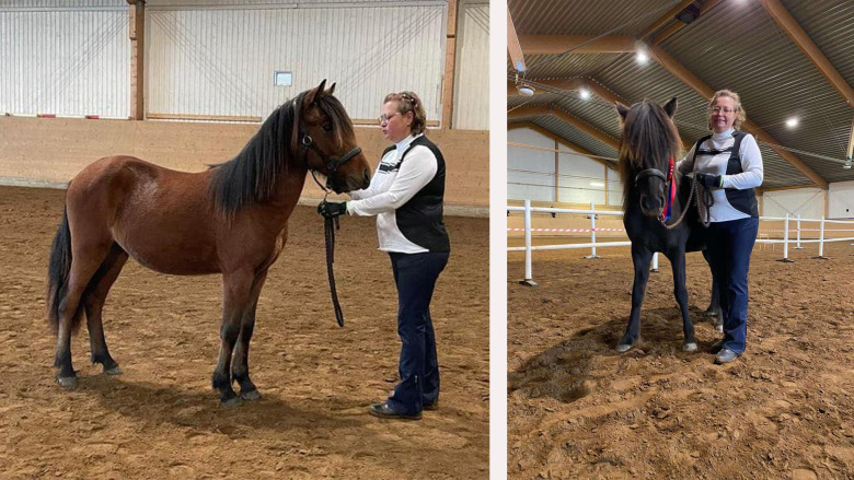 Dubbelt upp för Heidi Hansen Steijers avel