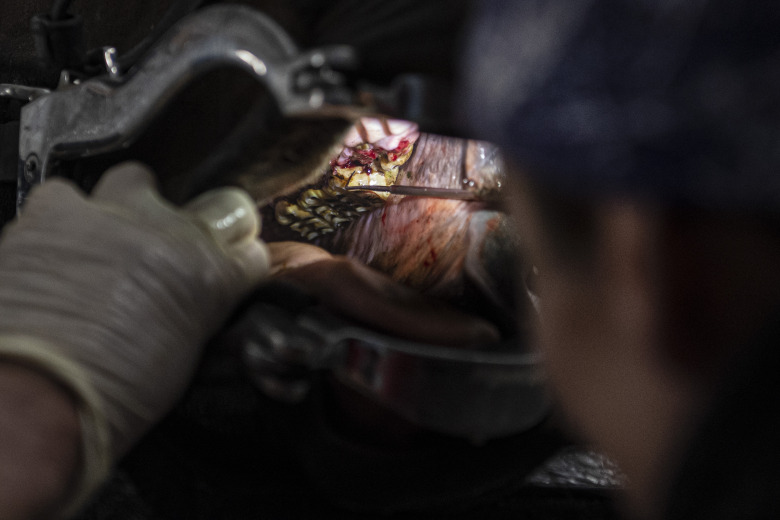 Nya titelskydd ska stärka säkerheten inom djurvården