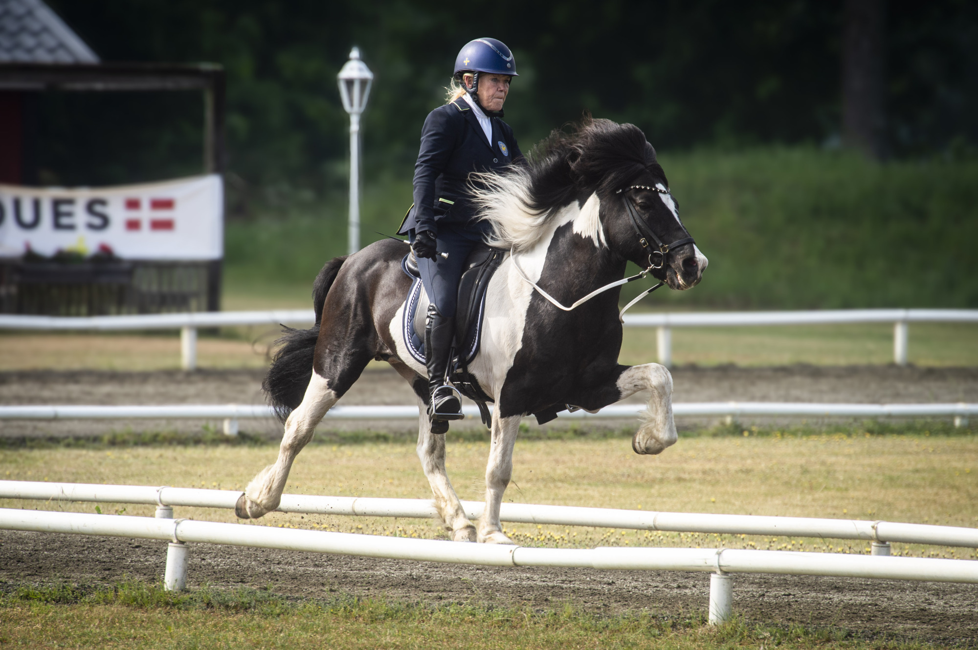 Ylva Hagander Alffinnur + 6