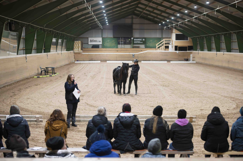 Fokus på harmoni och balans i gæðingalistens grunder