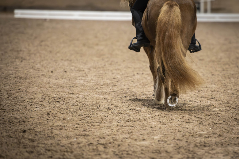 Regeländringar i gæðingalist: ”Klok förändring”